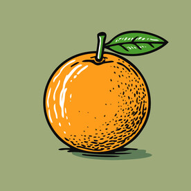 橙子水果手绘矢量插画