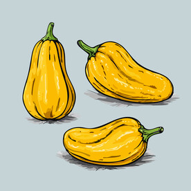 南瓜蔬菜手绘矢量插画