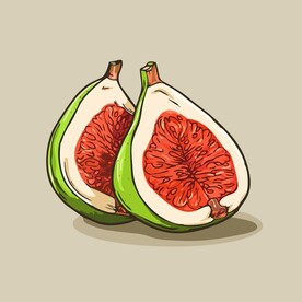 无花果热带水果手绘矢量插画