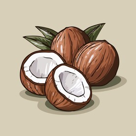 椰子热带水果手绘矢量插画