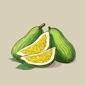 菠萝蜜热带水果手绘矢量插画