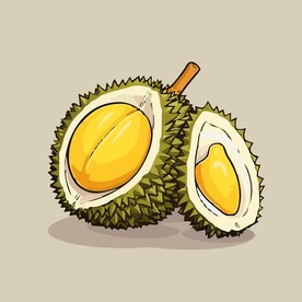 榴莲热带水果手绘矢量插画