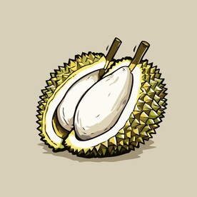榴莲热带水果手绘矢量插画