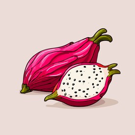 火龙果水果手绘矢量插画
