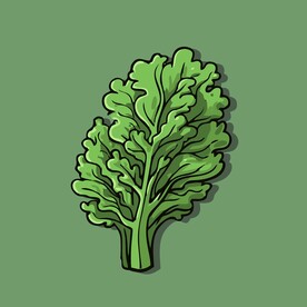 茼蒿蔬菜手绘矢量插画