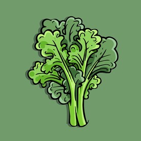 茼蒿蔬菜手绘矢量插画