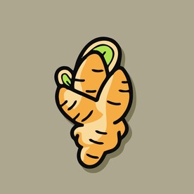 生姜禄根蔬菜手绘矢量插画