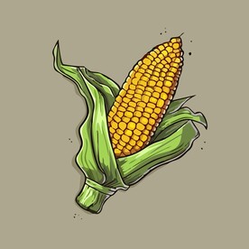 美味玉米蔬菜手绘矢量插画