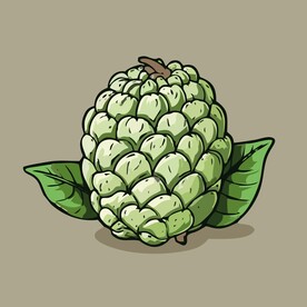 美味释迦果蔬菜手绘矢量插画