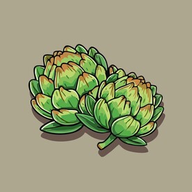 美味洋蓟蔬菜手绘矢量插画