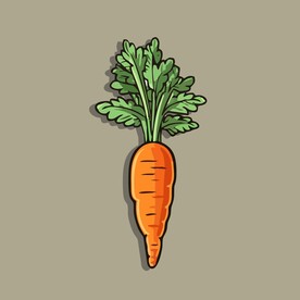 美味胡萝卜蔬菜手绘矢量插画