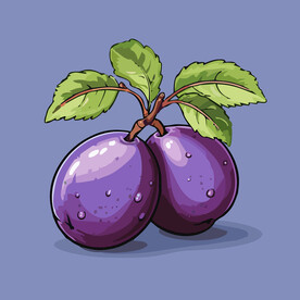 手绘李子水果矢量插图卡通美食