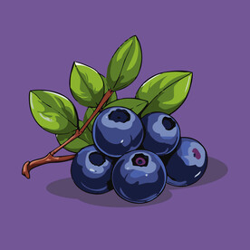 手绘蓝莓水果矢量插图卡通美食