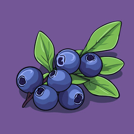 手绘蓝莓水果矢量插图卡通美食
