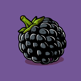 手绘桑椹水果矢量插图卡通美食