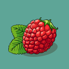 手绘树莓水果矢量插图卡通美食