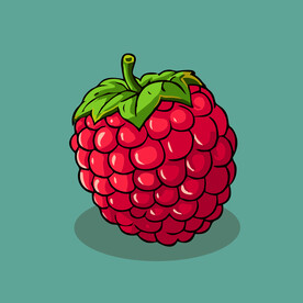 手绘树莓水果矢量插图卡通美食