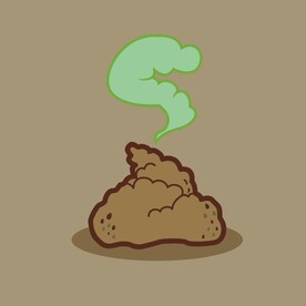 一坨臭臭的屎粑粑大便屎图片