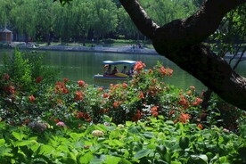 公园风景 