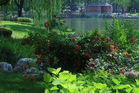 公园风景 