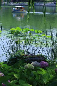 公园风景 