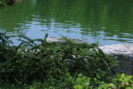 公园风景 