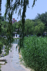 公园风景 
