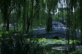 公园风景