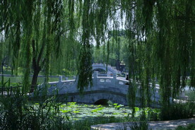 公园风景 