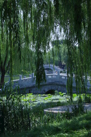 公园风景 