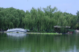 公园风景  