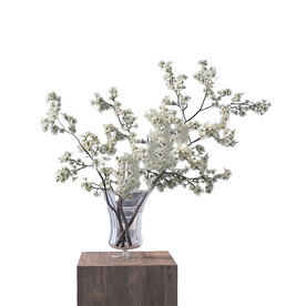 C4D模型 插花