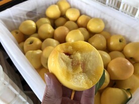 水蜜桃