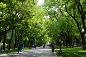 公园风景 