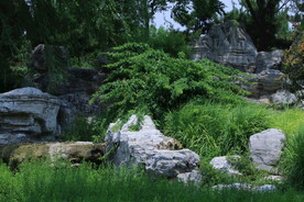 公园风景 