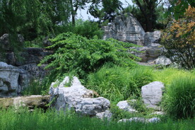 公园风景  