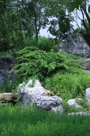 公园风景 