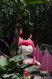温室花草 