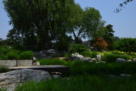 公园风景 