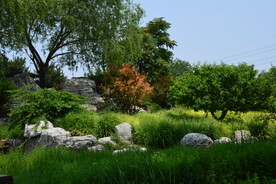 公园风景  