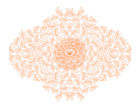 牡丹花纹 缠枝纹