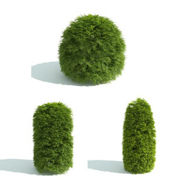  C4D模型 绿色植物