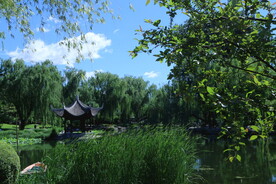 公园风景  