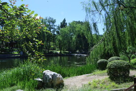 公园风景  