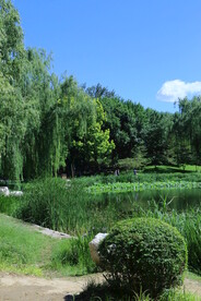 公园风景 
