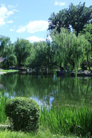 公园风景 