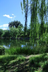 公园风景 
