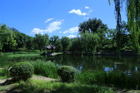 公园风景 