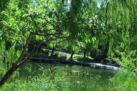 公园风景  