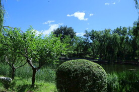 公园风景  